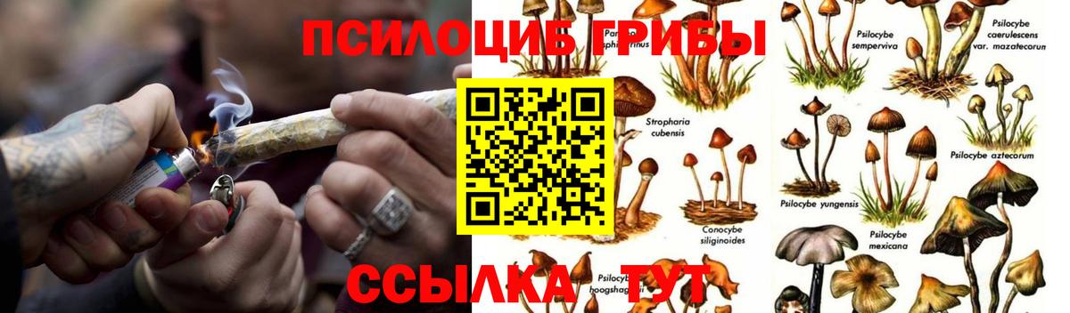 Галлюциногенные грибы мицелий Елабуга